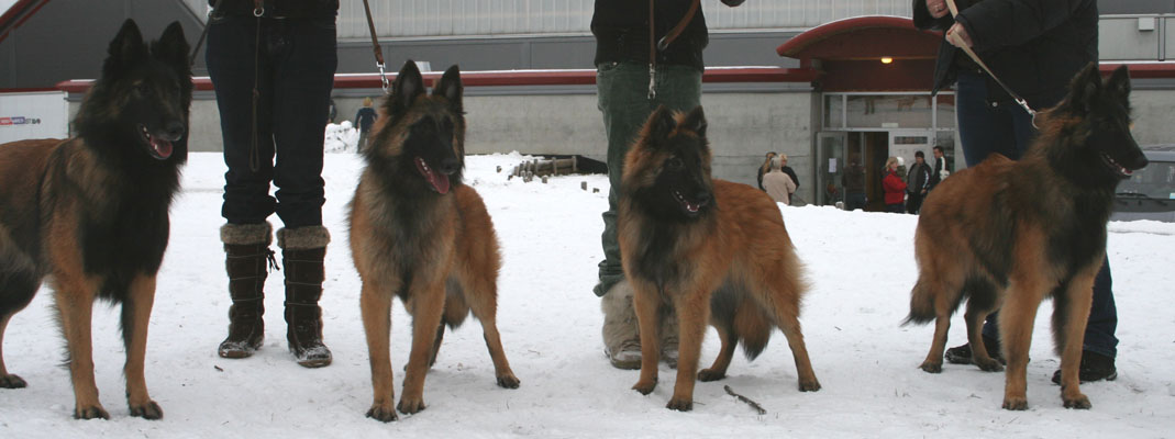 Scala (mamma), Demi, Dina og Diaz